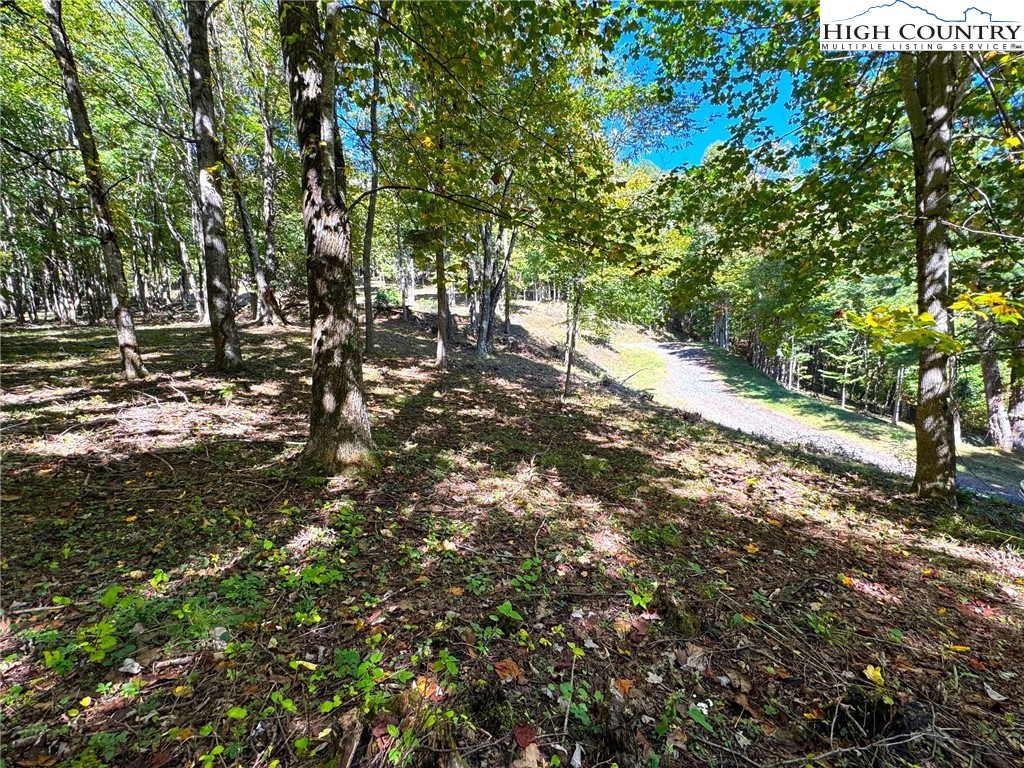 TBD Mystery Mountain Drive