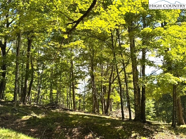 TBD Mystery Mountain Drive