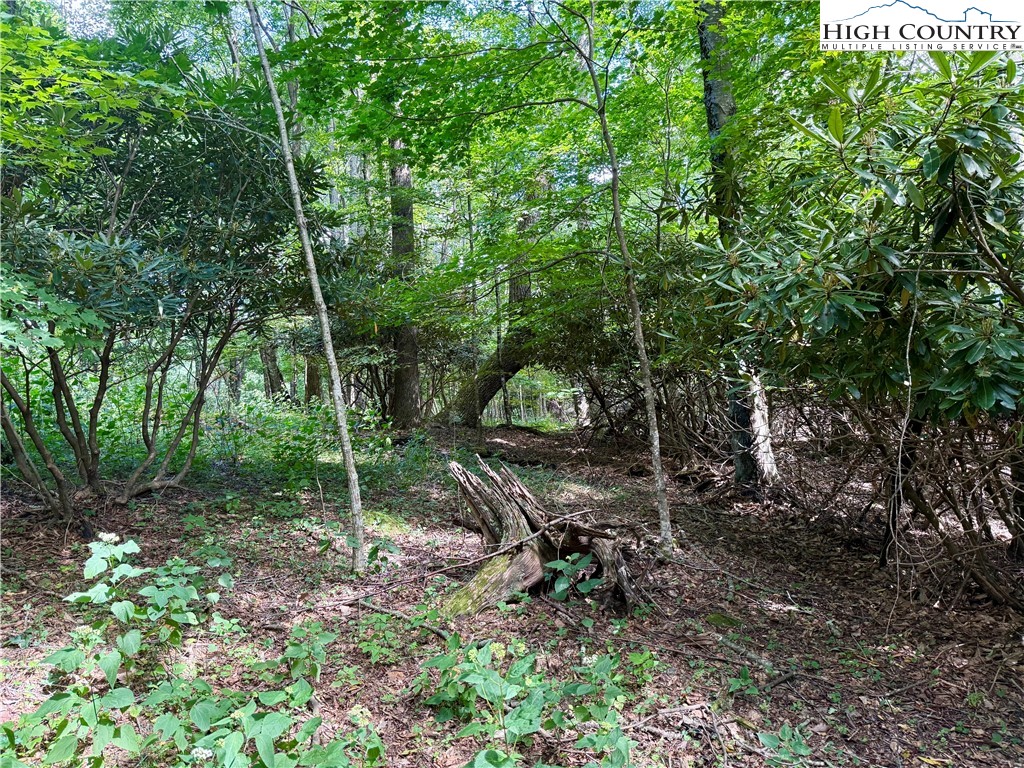 TBD Mystery Mountain Drive