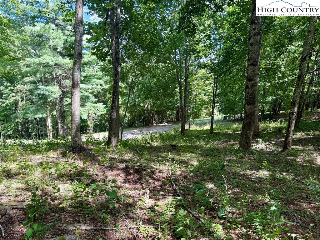 TBD Mystery Mountain Drive