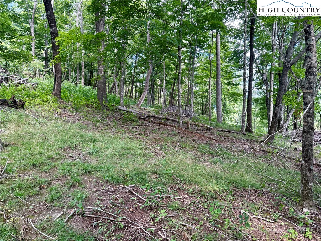 TBD Mystery Mountain Drive