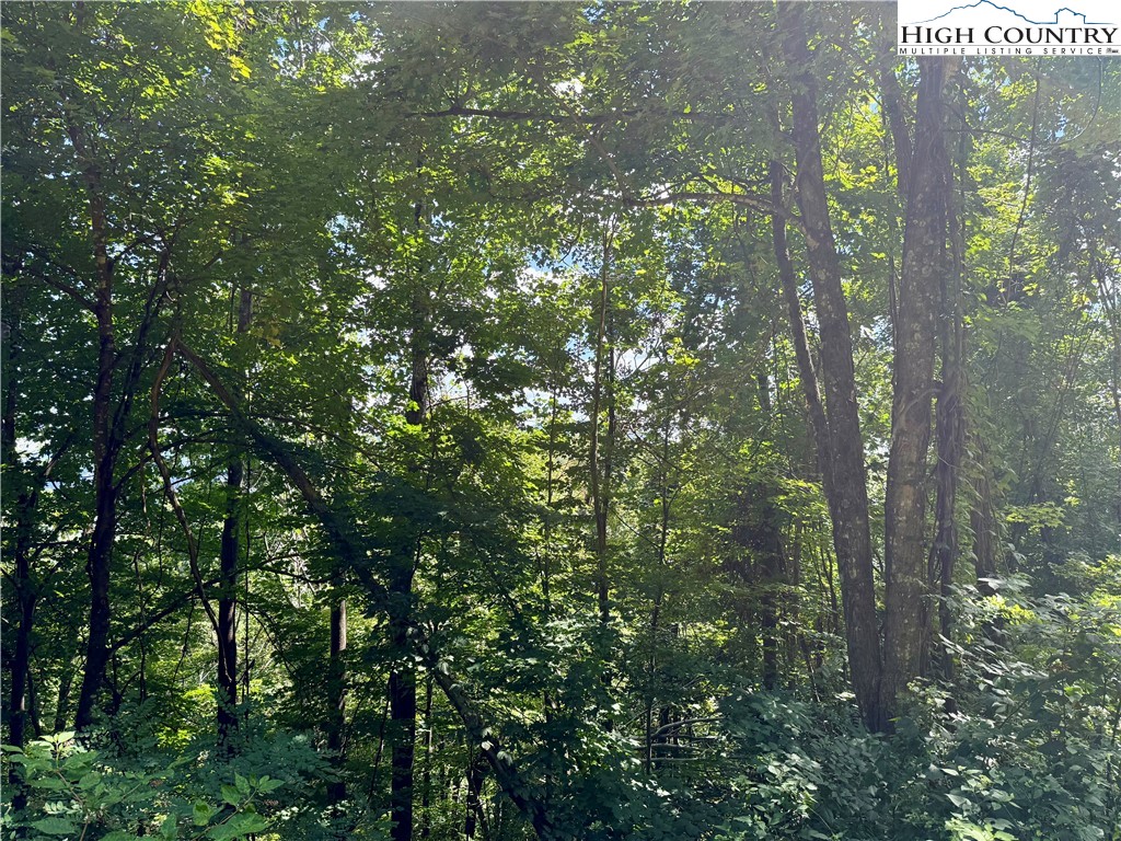 TBD Mystery Mountain Drive