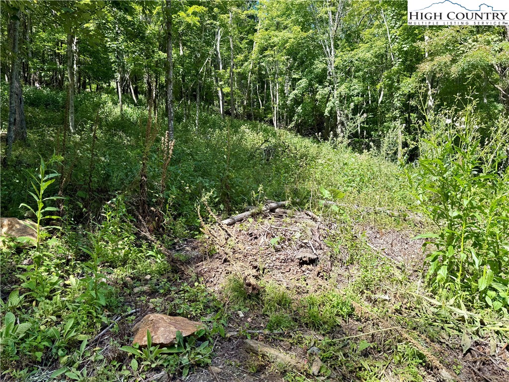 TBD Mystery Mountain Drive