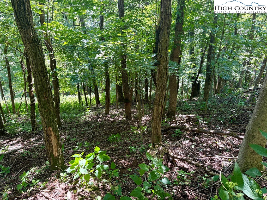 TBD Mystery Mountain Drive