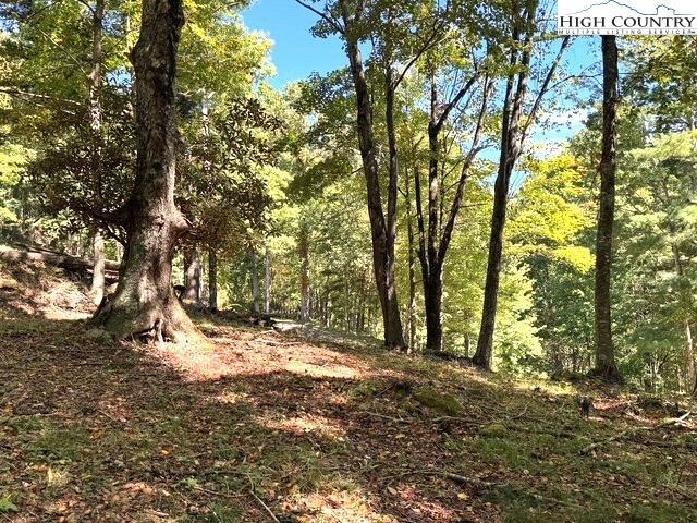 TBD Mystery Mountain Drive