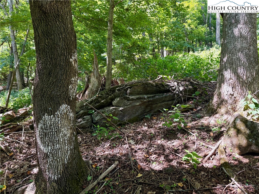 TBD Mystery Mountain Drive