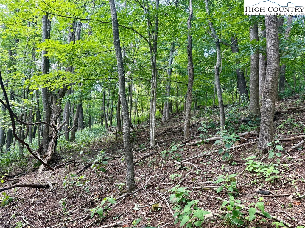 TBD Mystery Mountain Drive