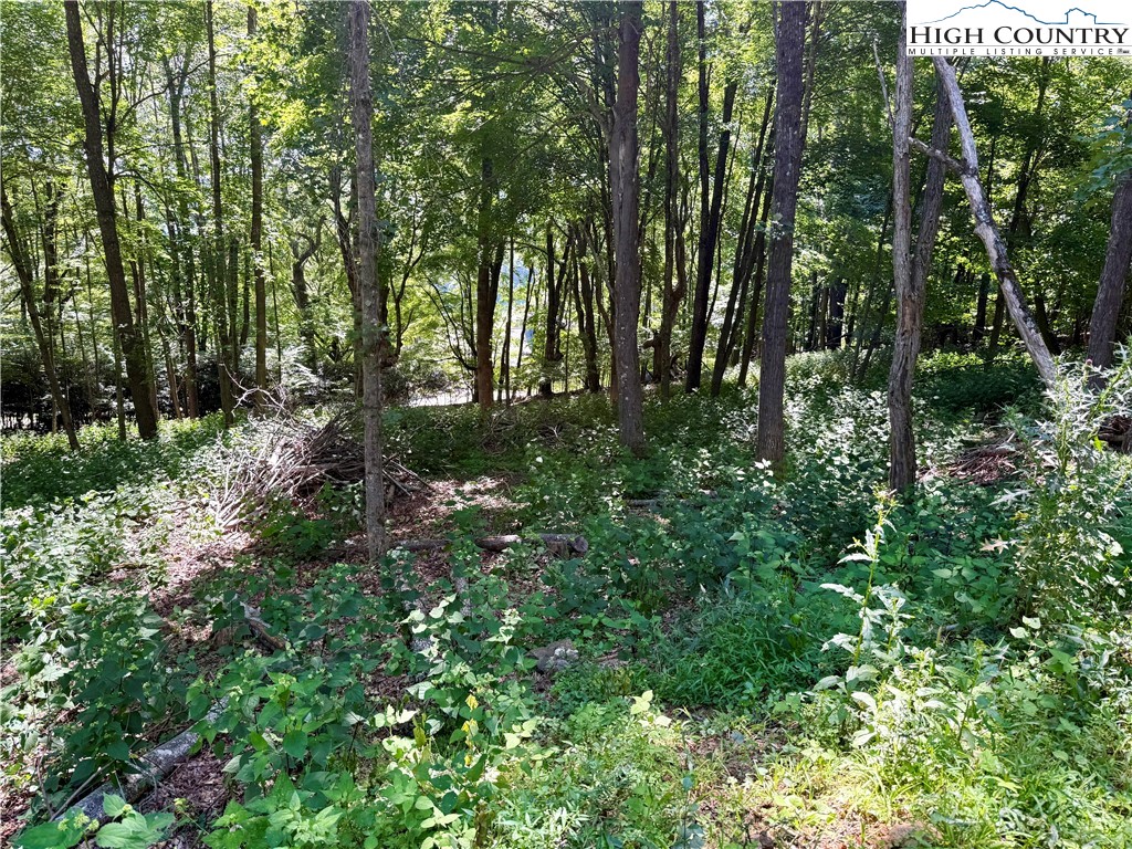 TBD Mystery Mountain Drive