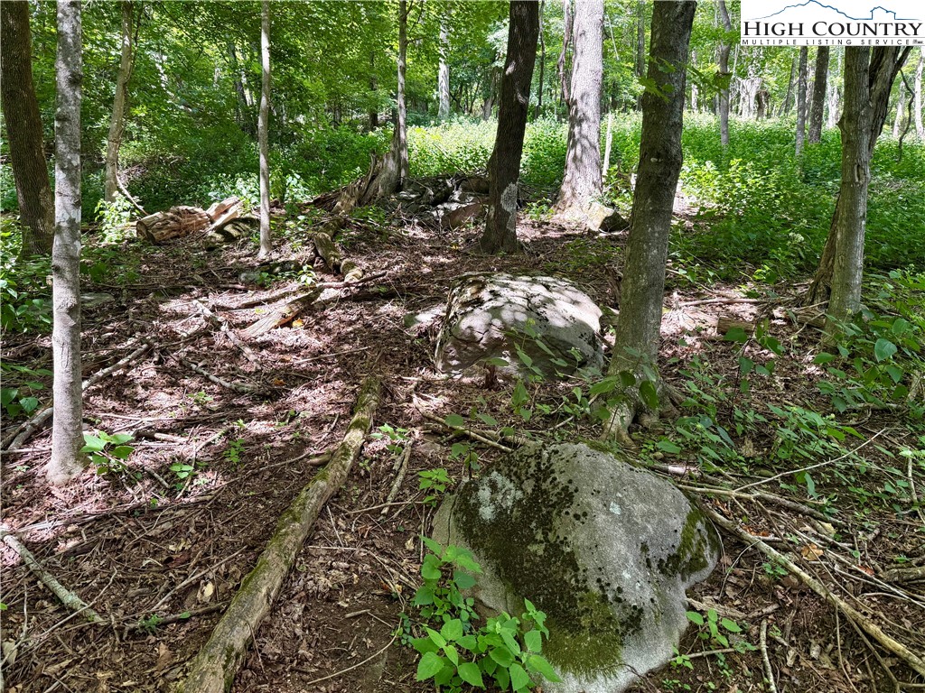 TBD Mystery Mountain Drive