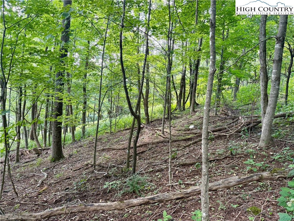 TBD Mystery Mountain Drive