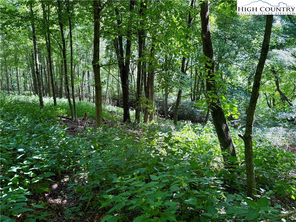 TBD Mystery Mountain Drive