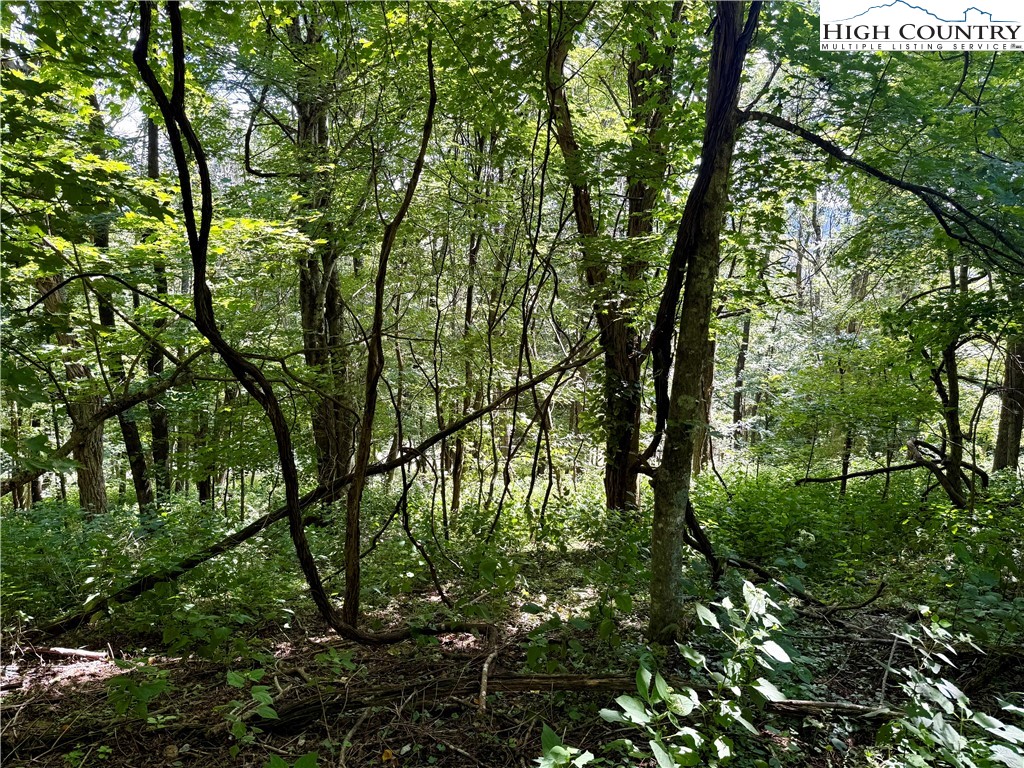 TBD Mystery Mountain Drive