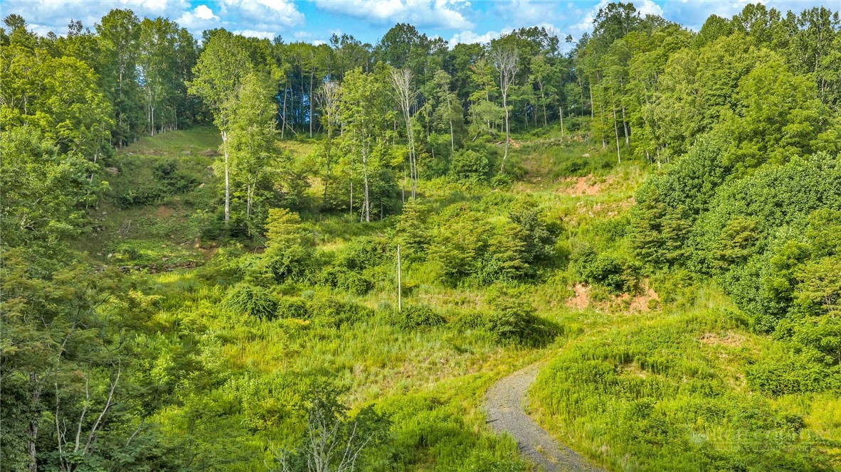 2780 Big Piney Creek Road