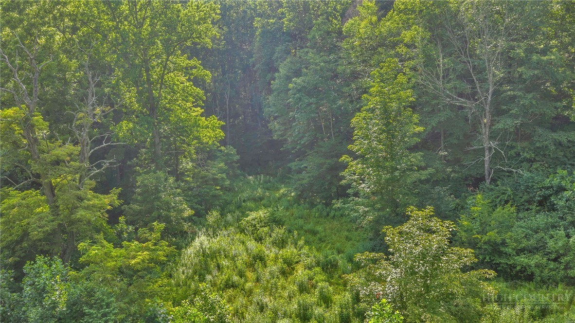 2780 Big Piney Creek Road