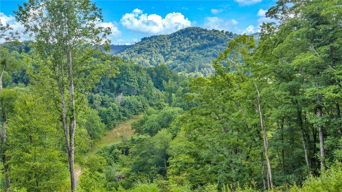 2780 Big Piney Creek Road