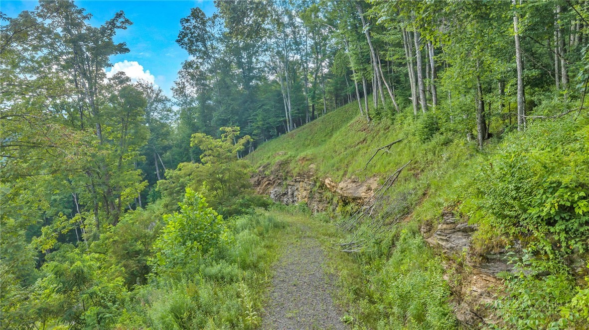 2780 Big Piney Creek Road