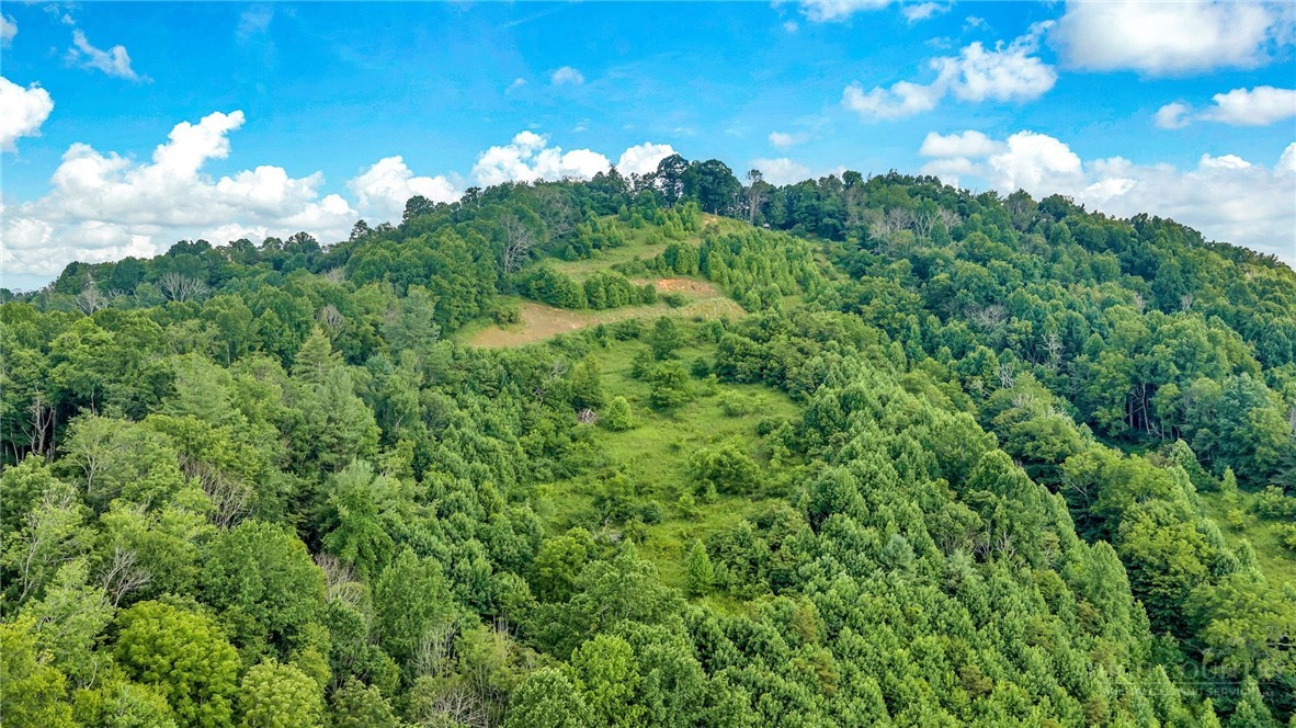 2780 Big Piney Creek Road