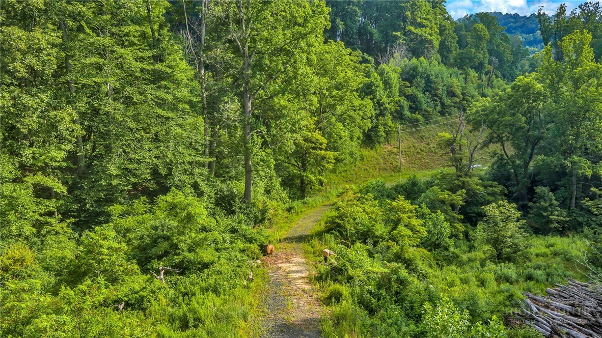 2780 Big Piney Creek Road