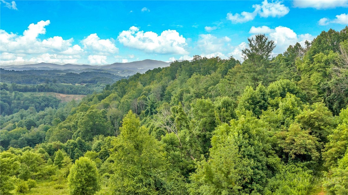 2780 Big Piney Creek Road
