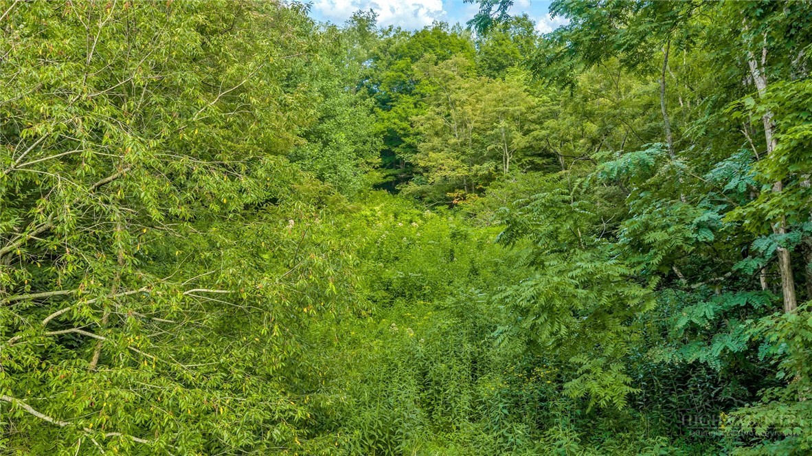1483 Buffalo Road