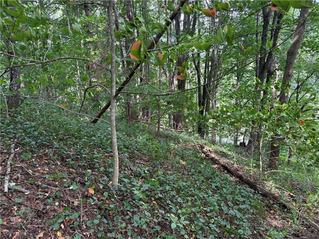 1483 Buffalo Road
