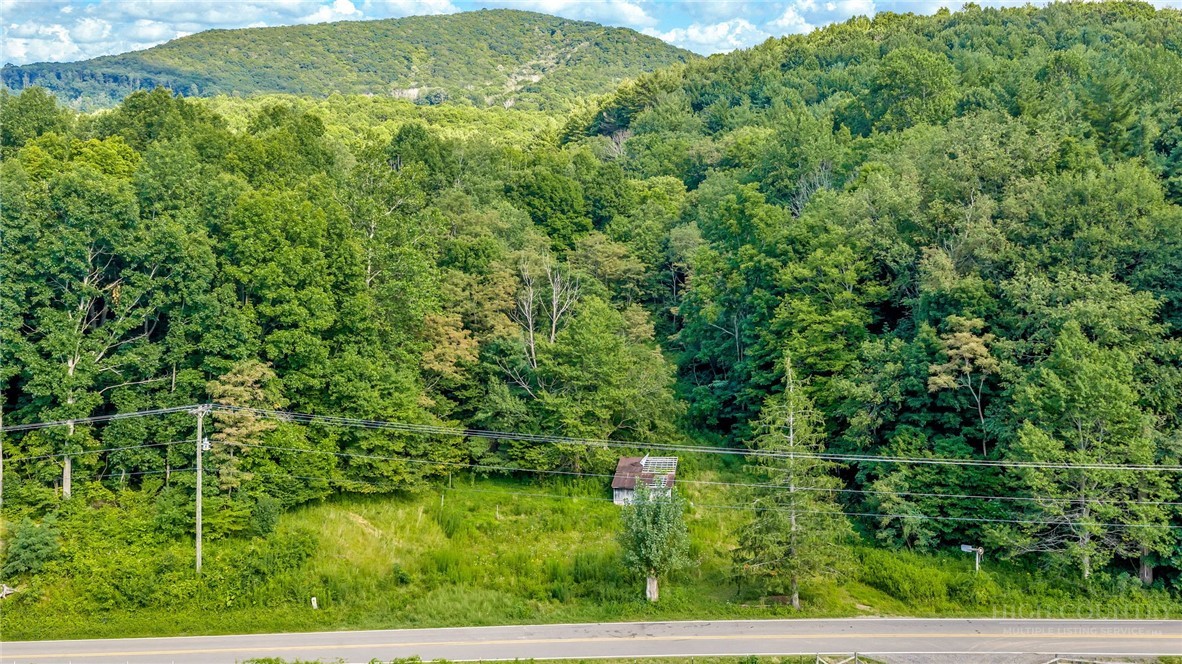 1483 Buffalo Road