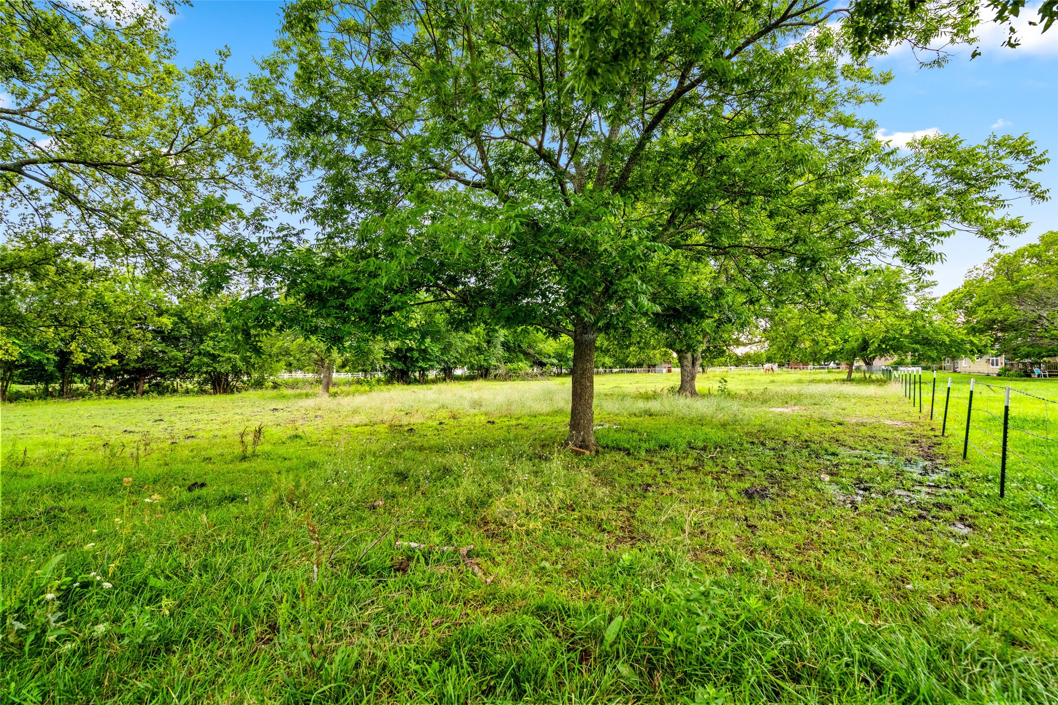 4295 County Road 1152
