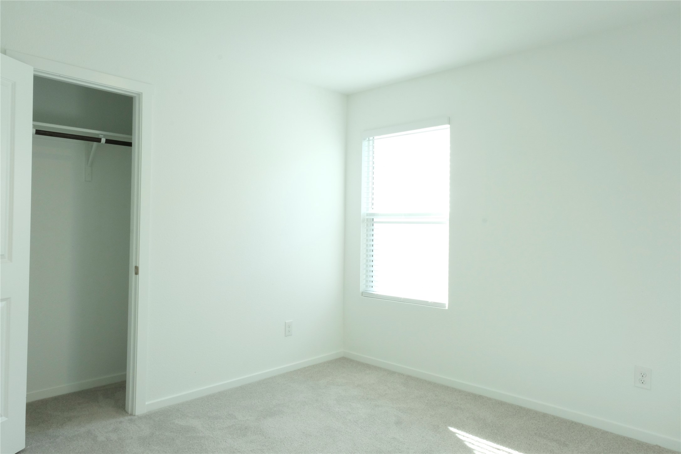 932 Calley Pear Trail