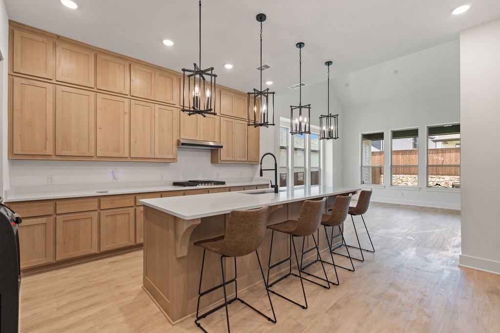 7424 Lilypad Lane