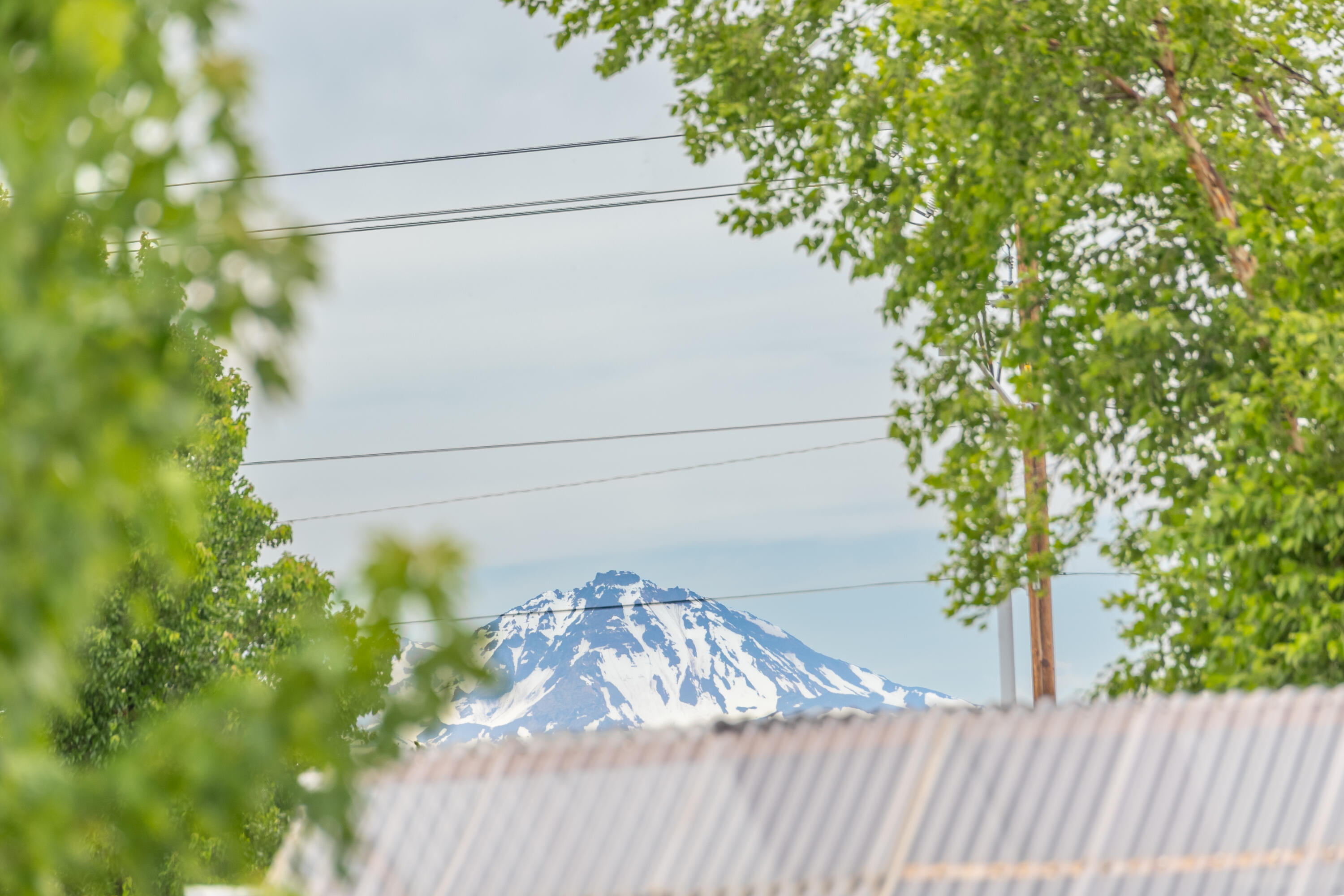 900 NW Spruce Tree Place