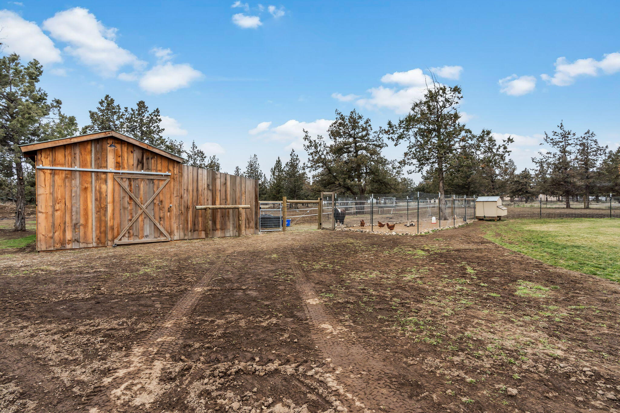 14833 SW Stallion Drive