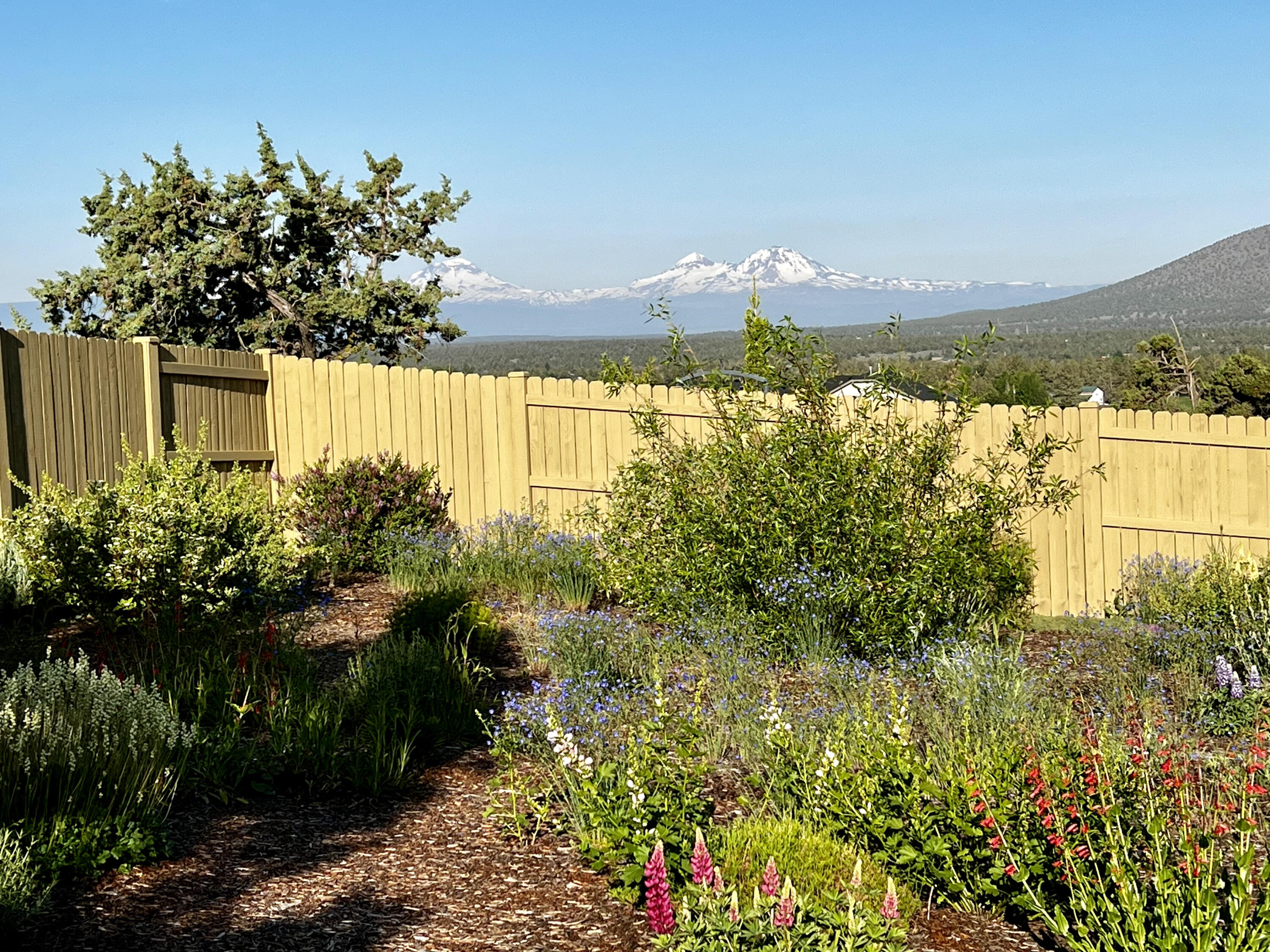 4466 SW Umatilla Avenue