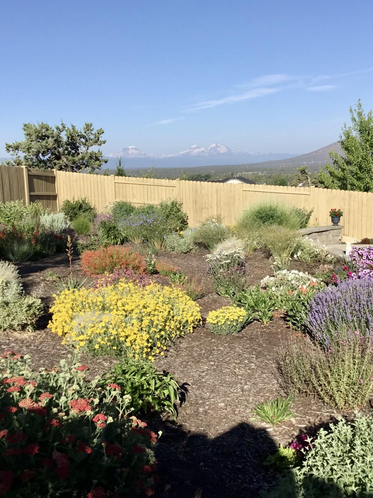 4466 SW Umatilla Avenue