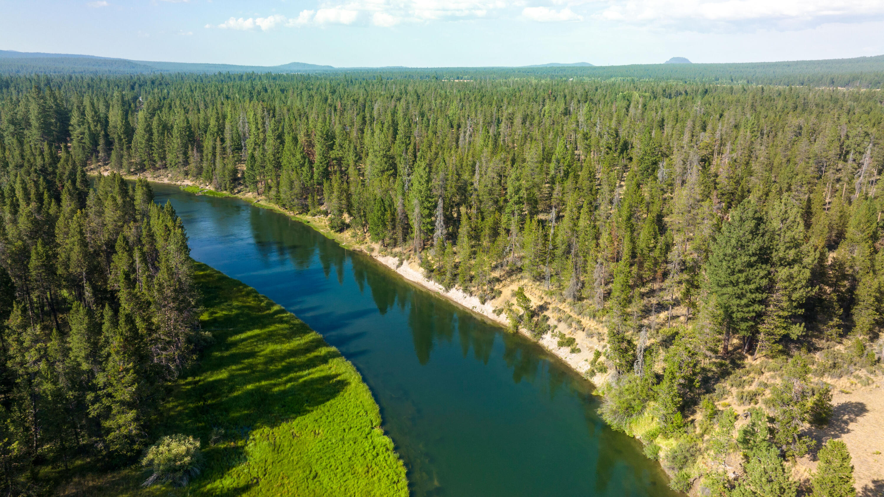 17258 Kingfisher Drive