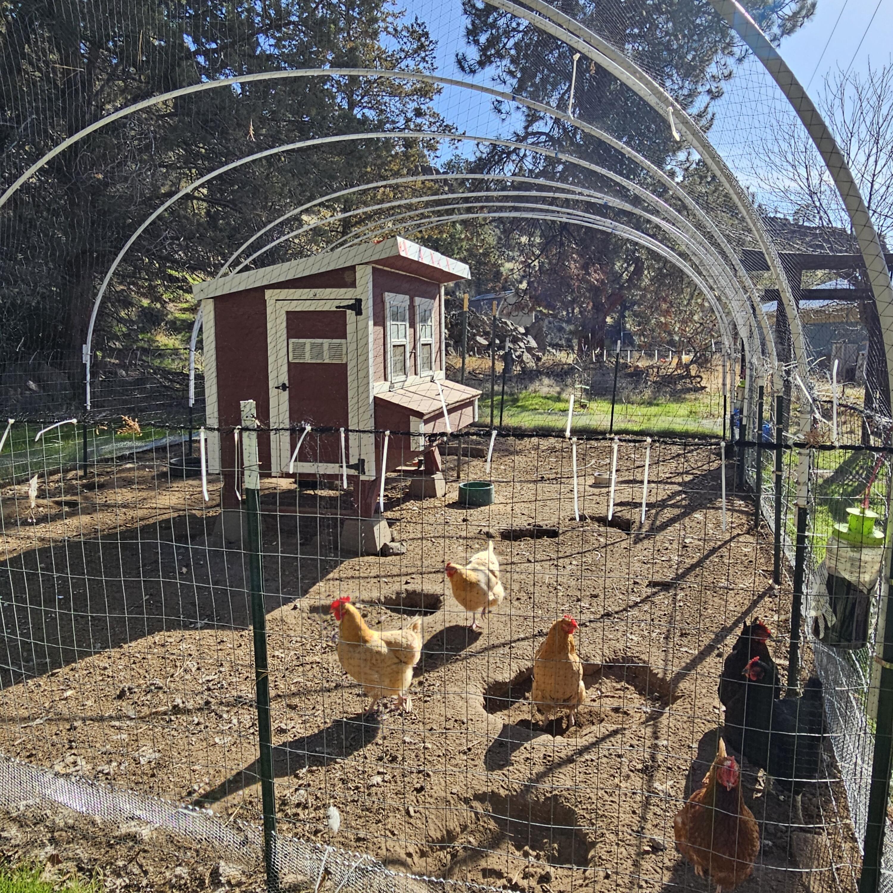 2343 NW Coyner Avenue