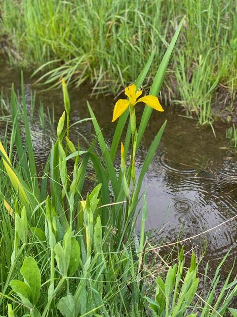 2343 NW Coyner Avenue