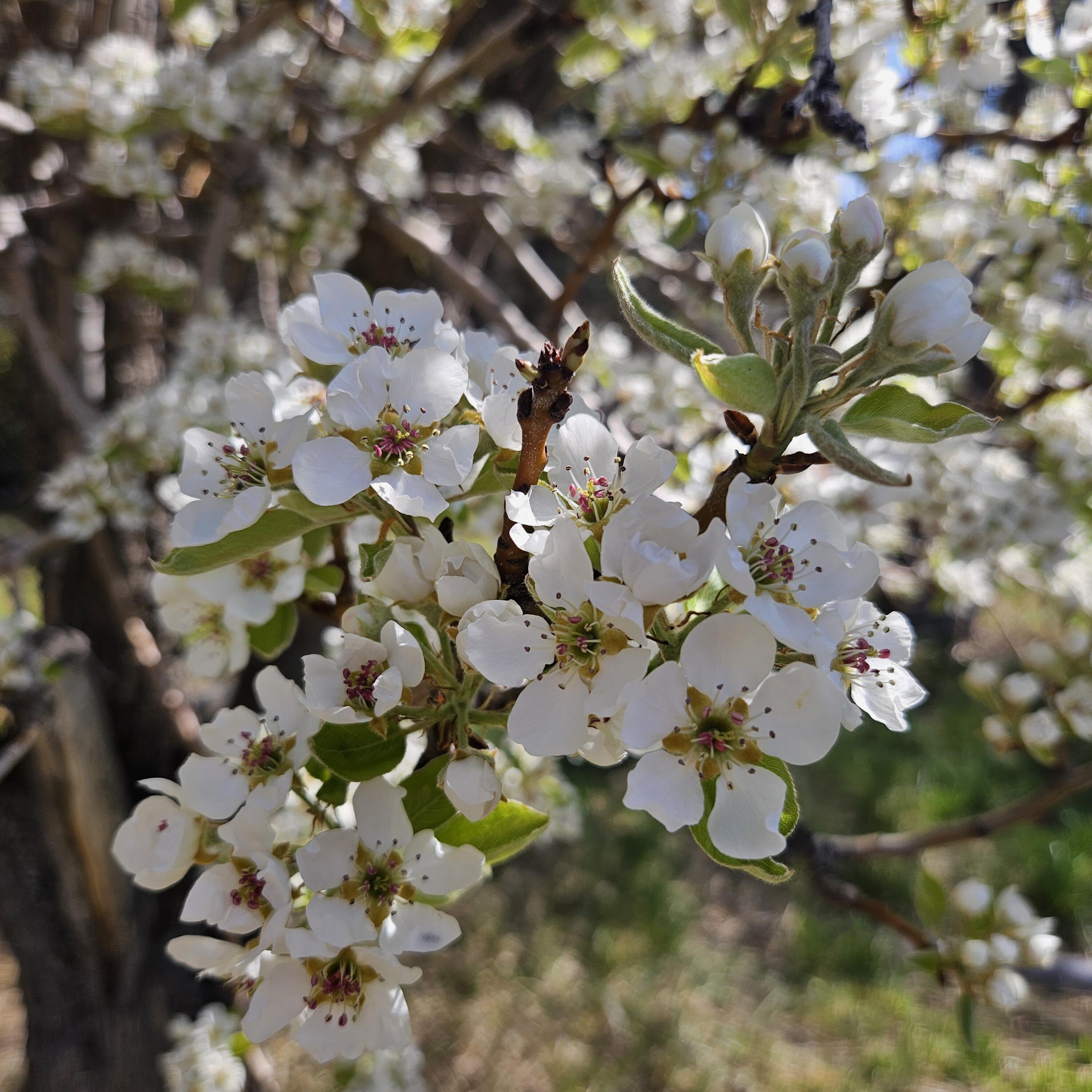 2343 NW Coyner Avenue