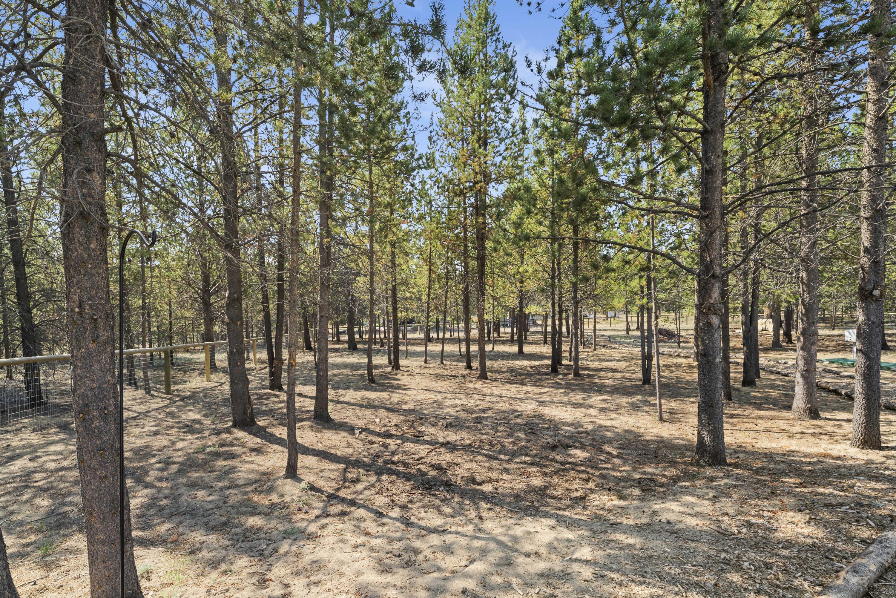 16203 Lava Drive