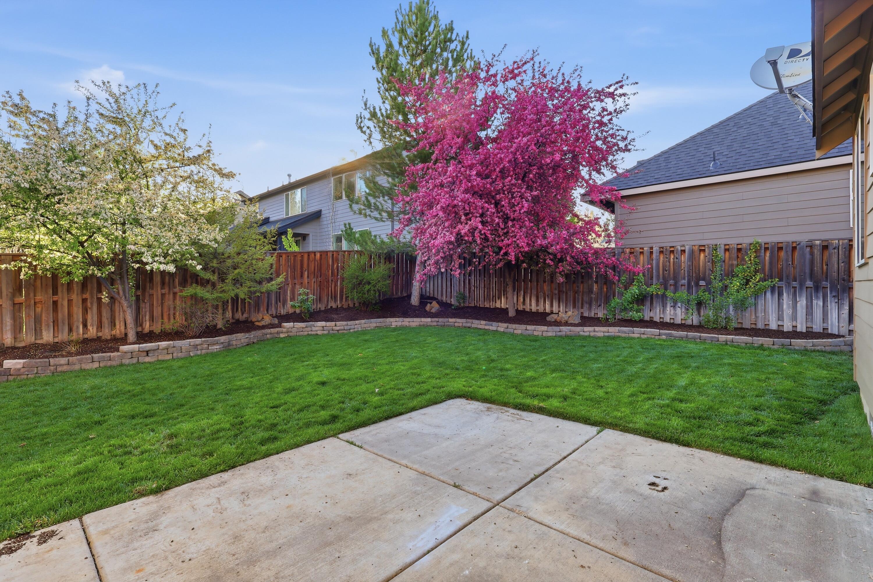19530 Hollygrape Street
