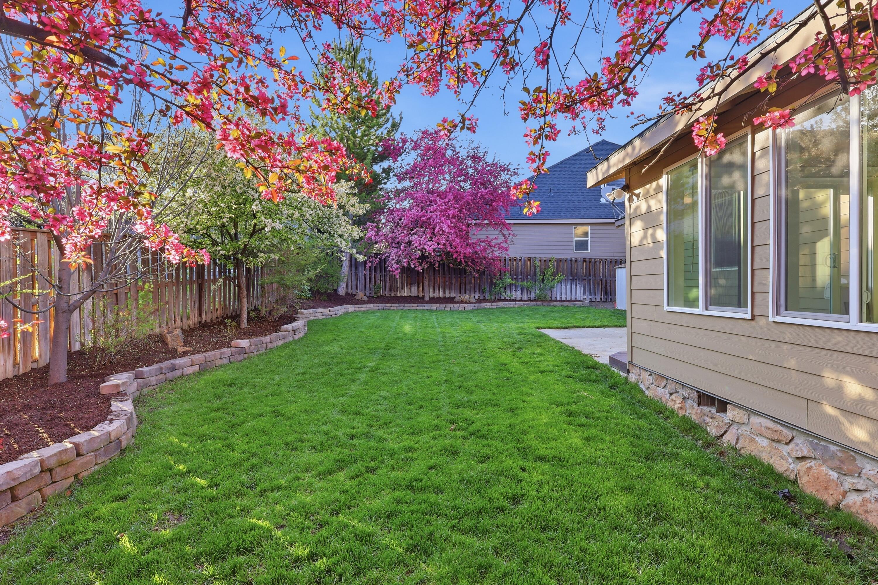 19530 Hollygrape Street