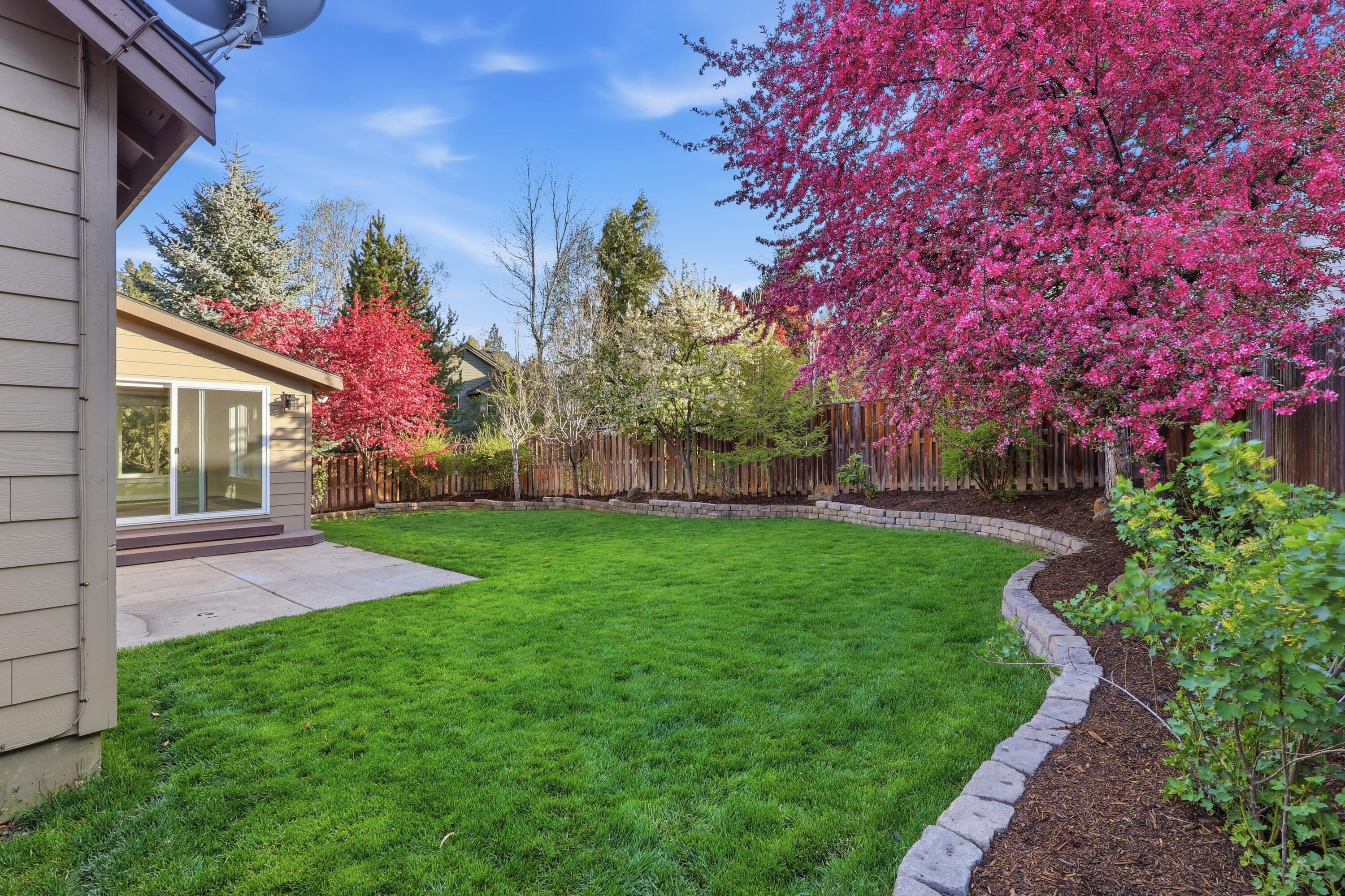 19530 Hollygrape Street
