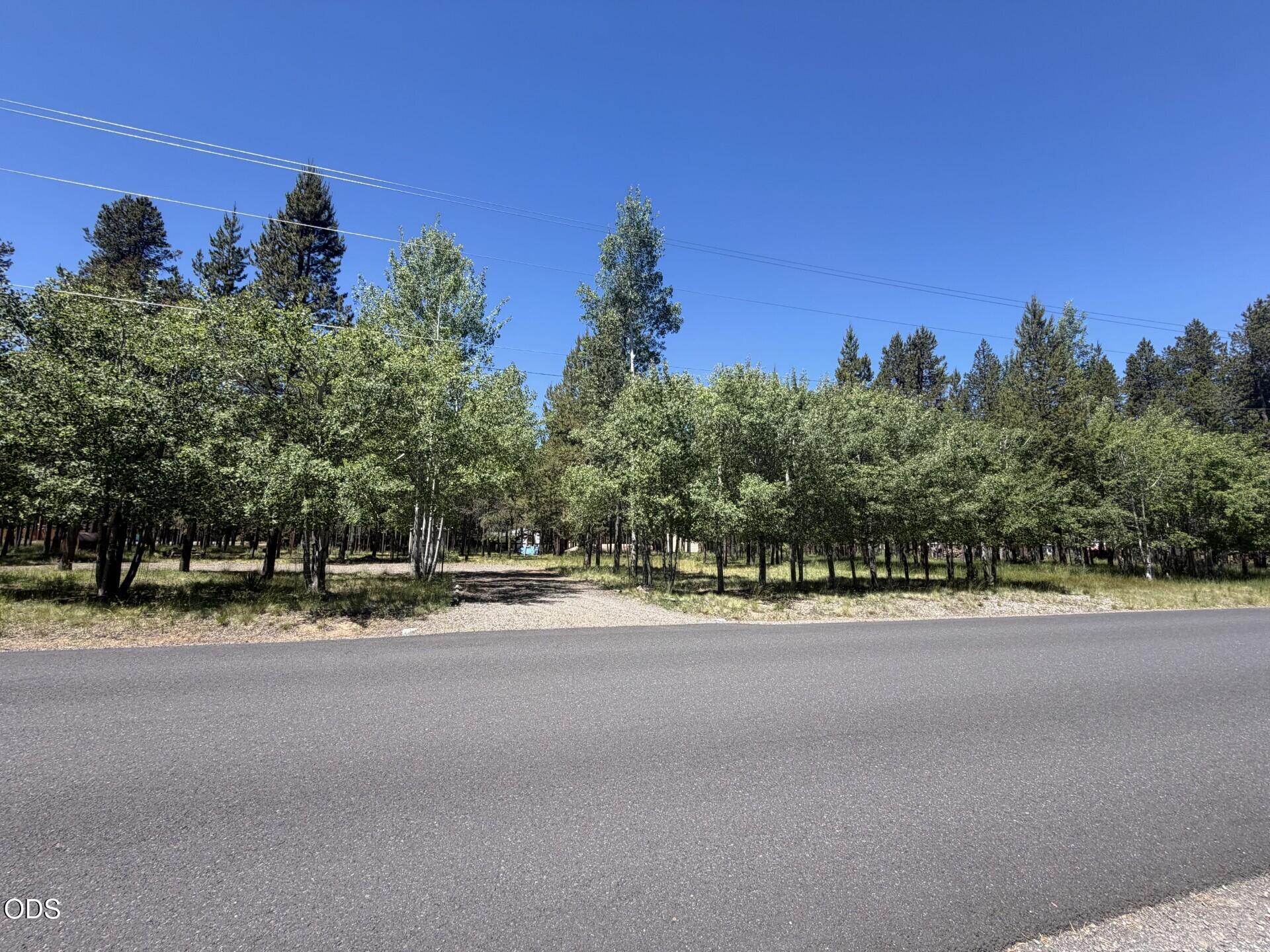 55869 Black Duck Road