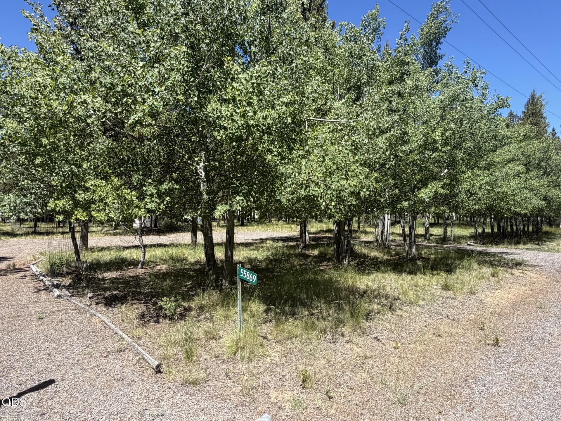 55869 Black Duck Road