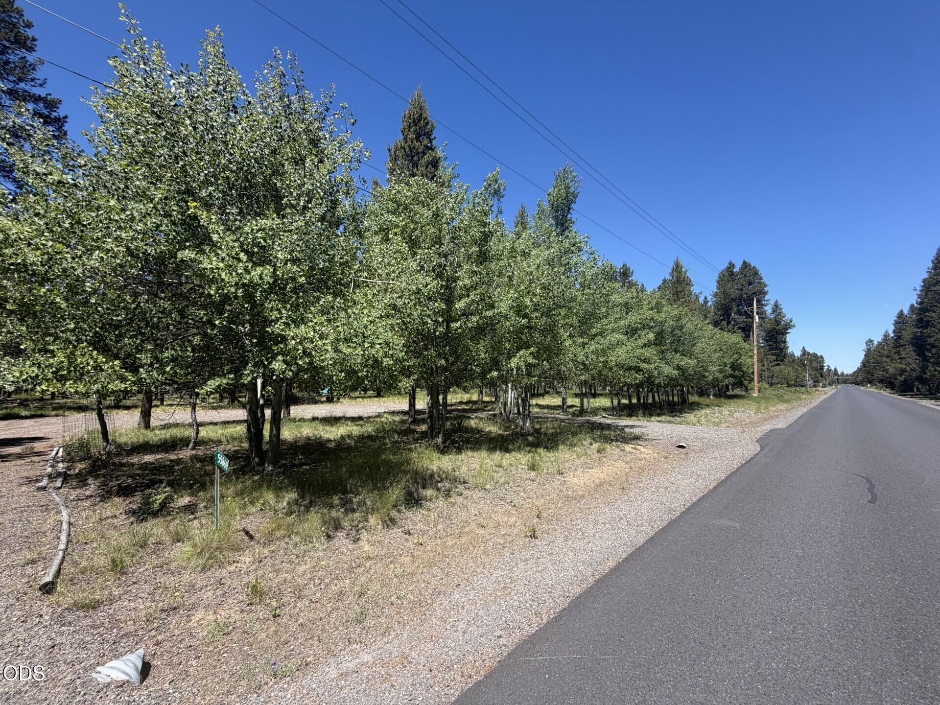 55869 Black Duck Road