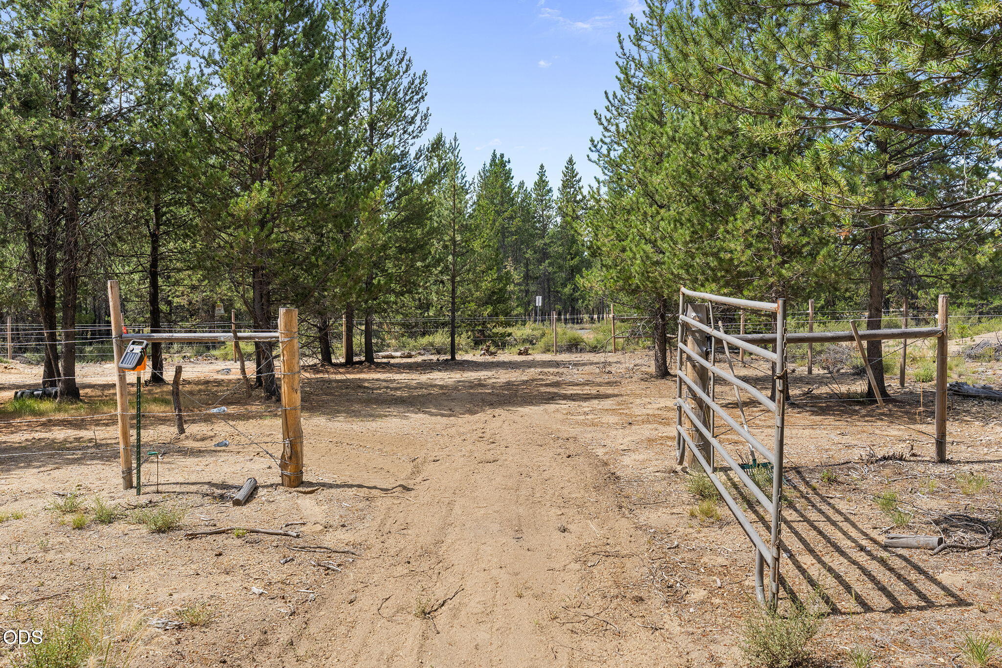 219 Tumbo Drive