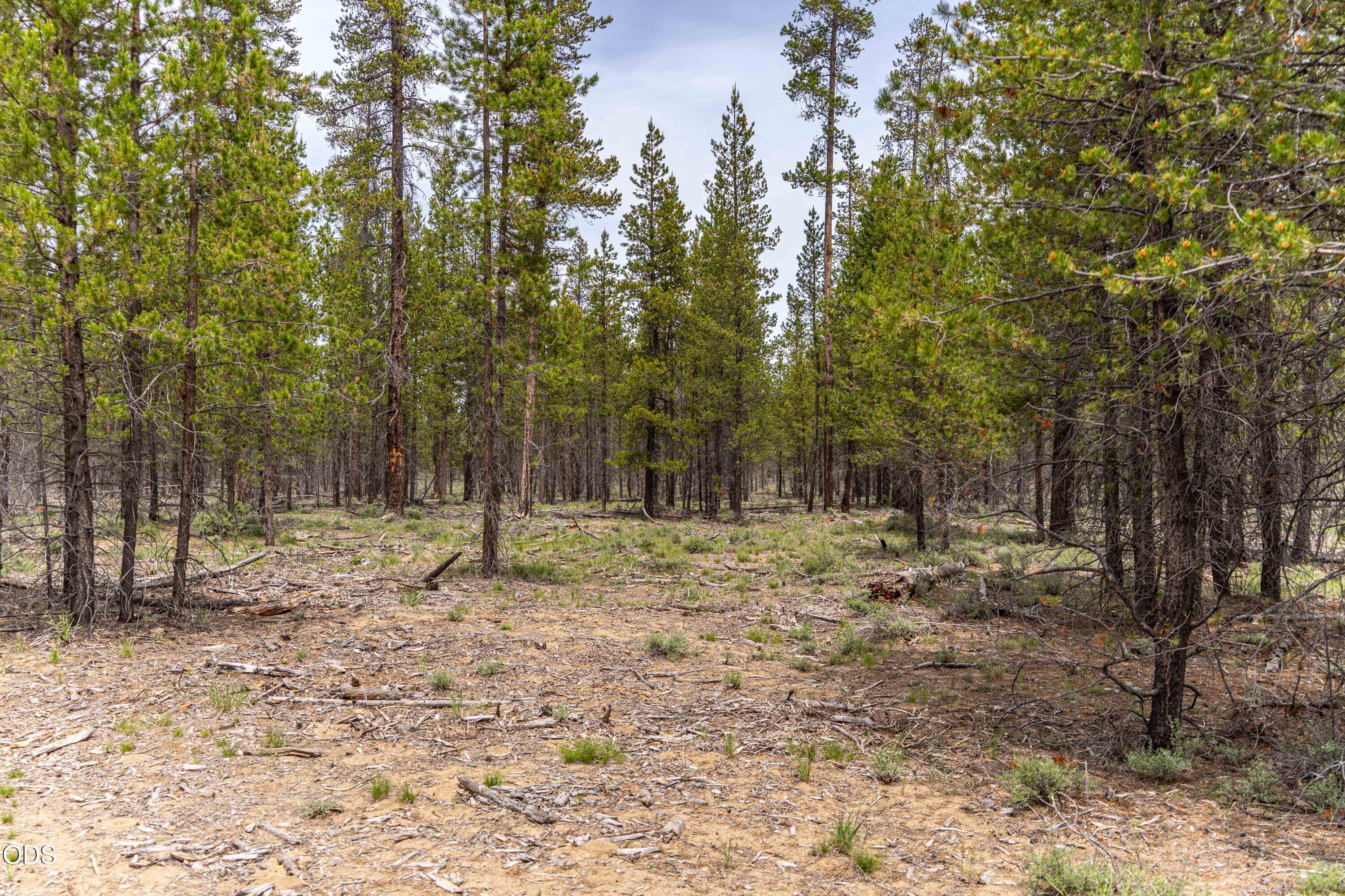 52495 Old Stage Road