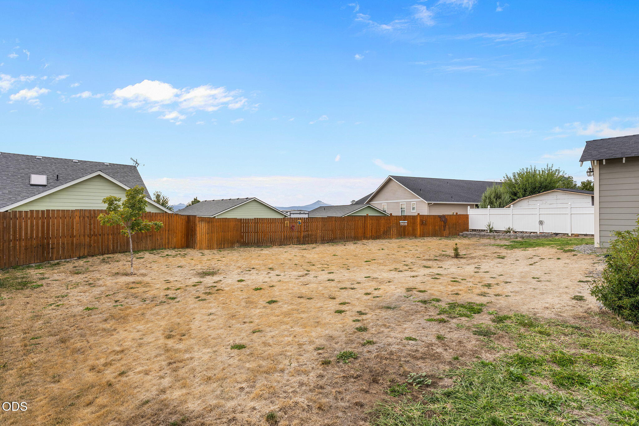 Fenced backyard with dry grass, a young tree, and distant mountain views.