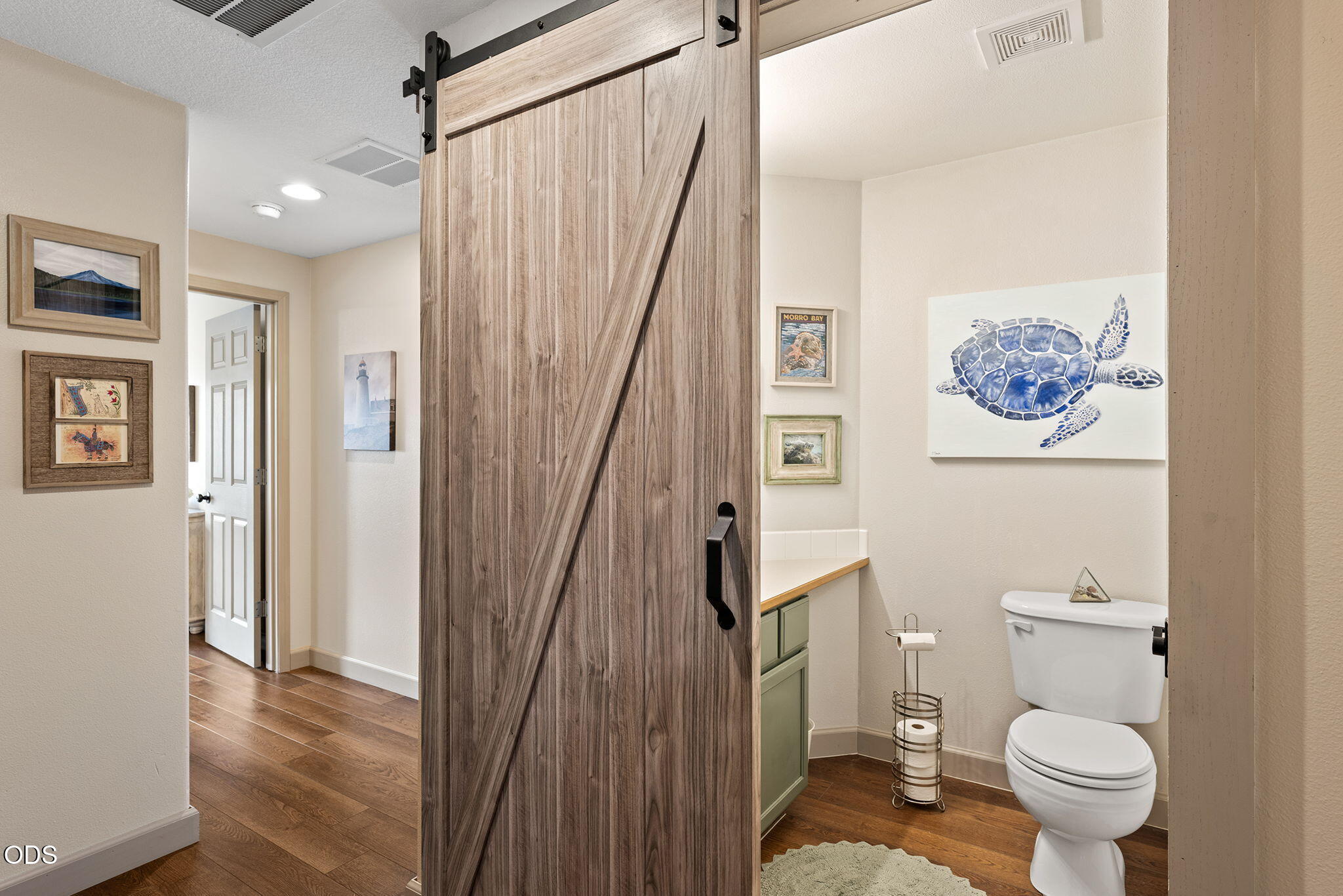 Bathroom with a rustic sliding barn door, green vanity, white toilet, and blue sea turtle artwork.