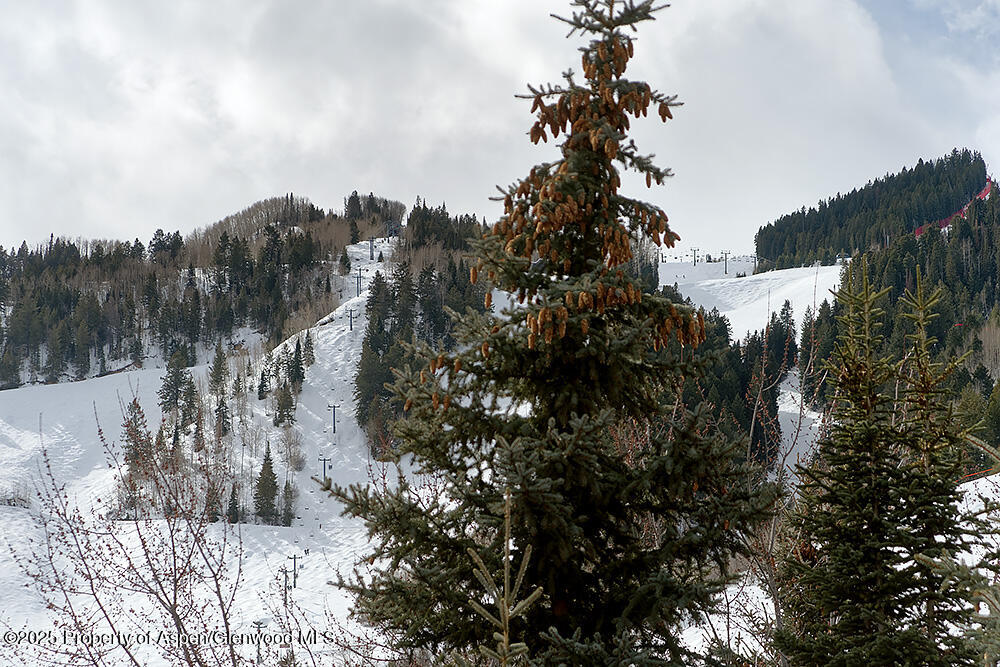 119 E Cooper Avenue, #27