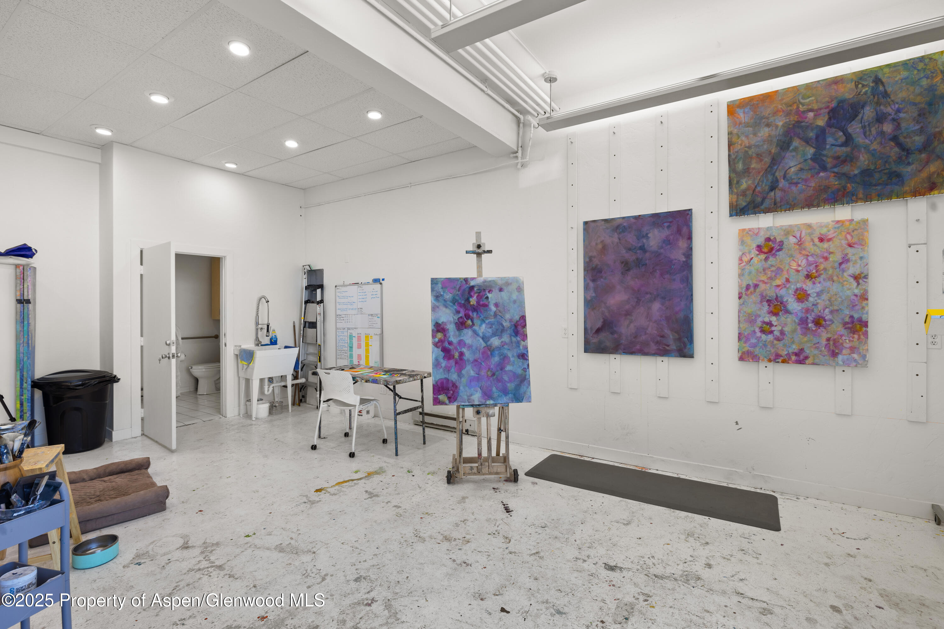 210 Aspen Airport Business